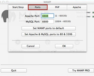 mamp server dns address could not be found